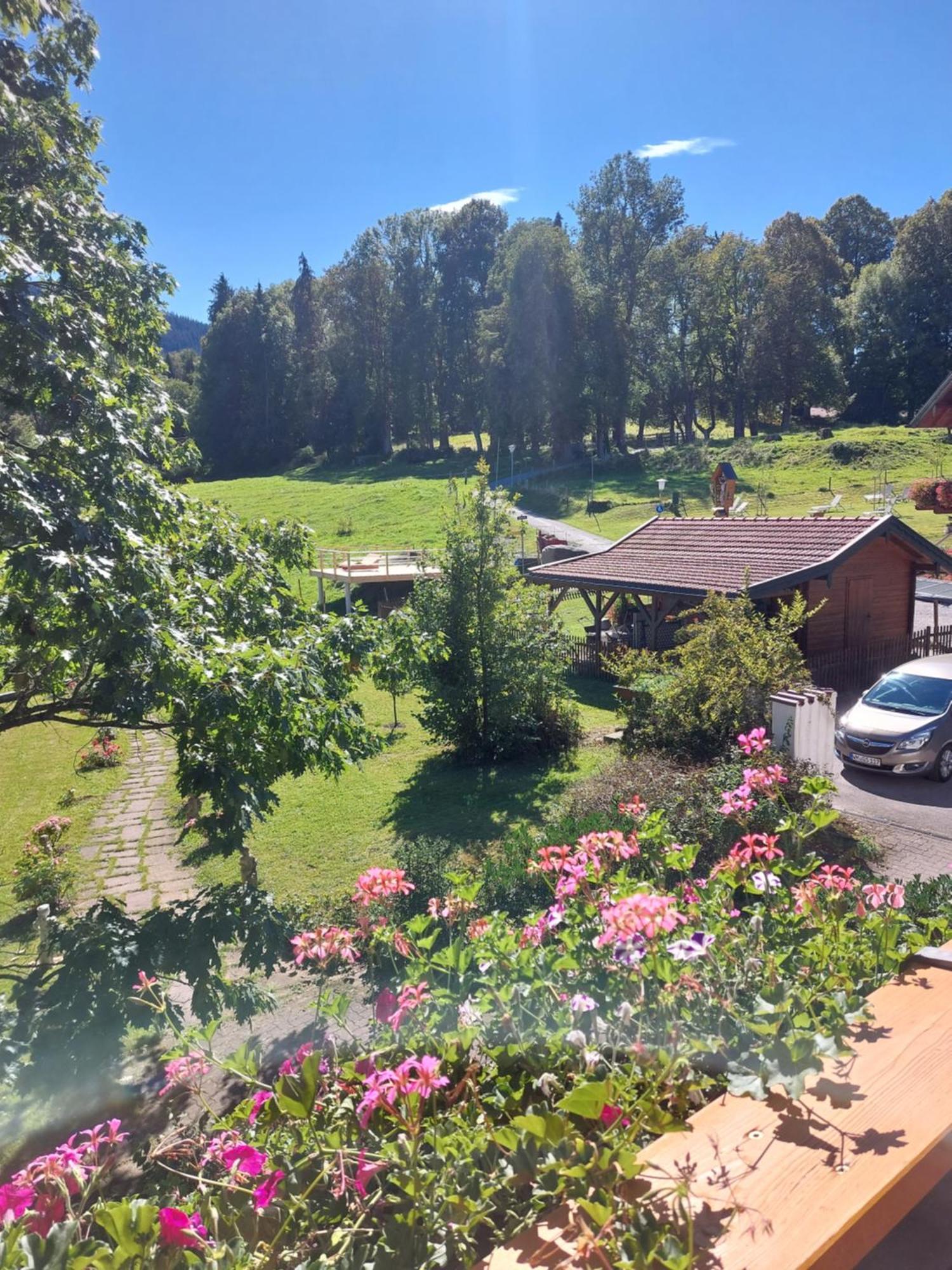 Landhaus Schoenblick Bad Kohlgrub Exteriör bild