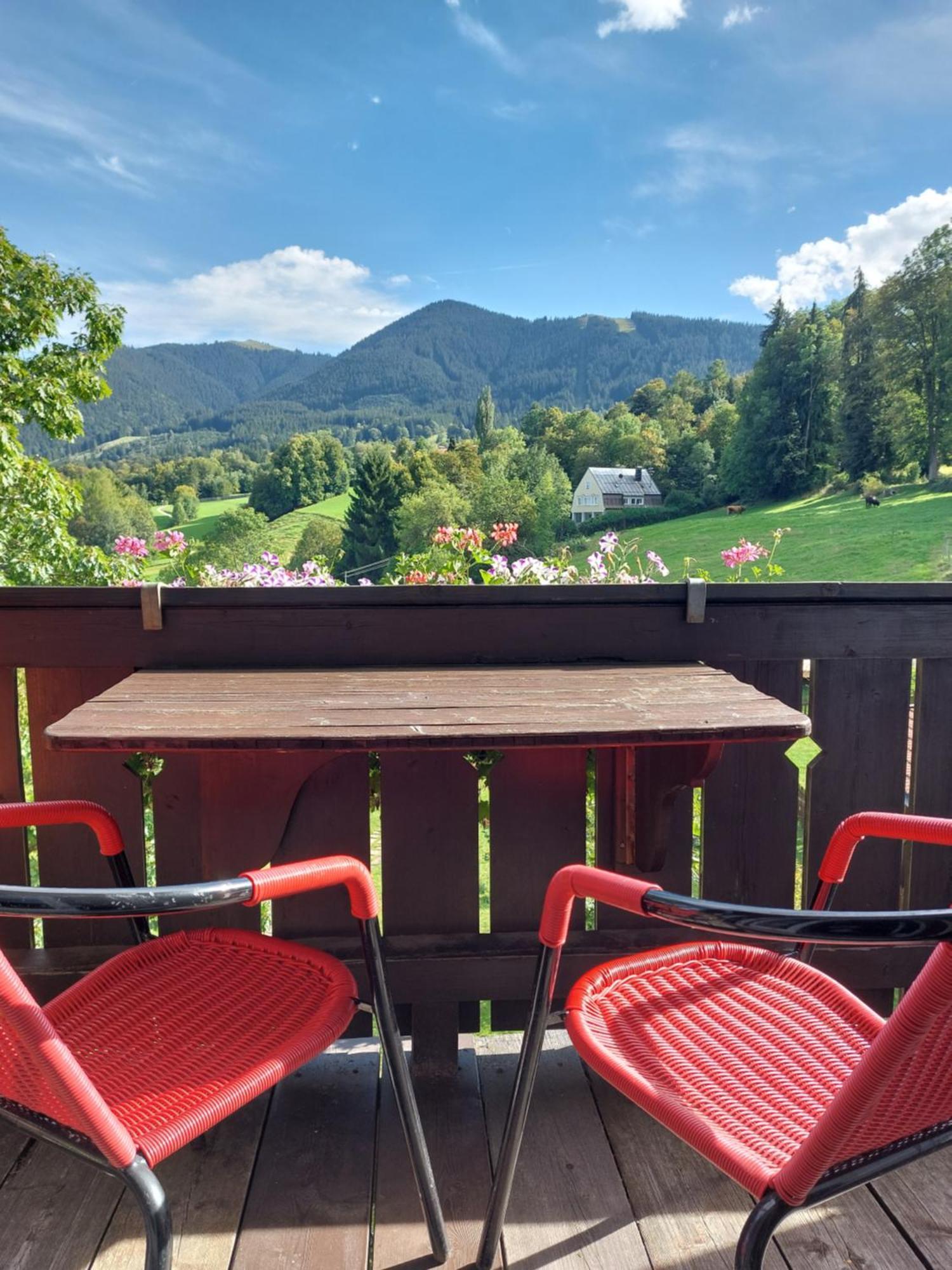 Landhaus Schoenblick Bad Kohlgrub Exteriör bild