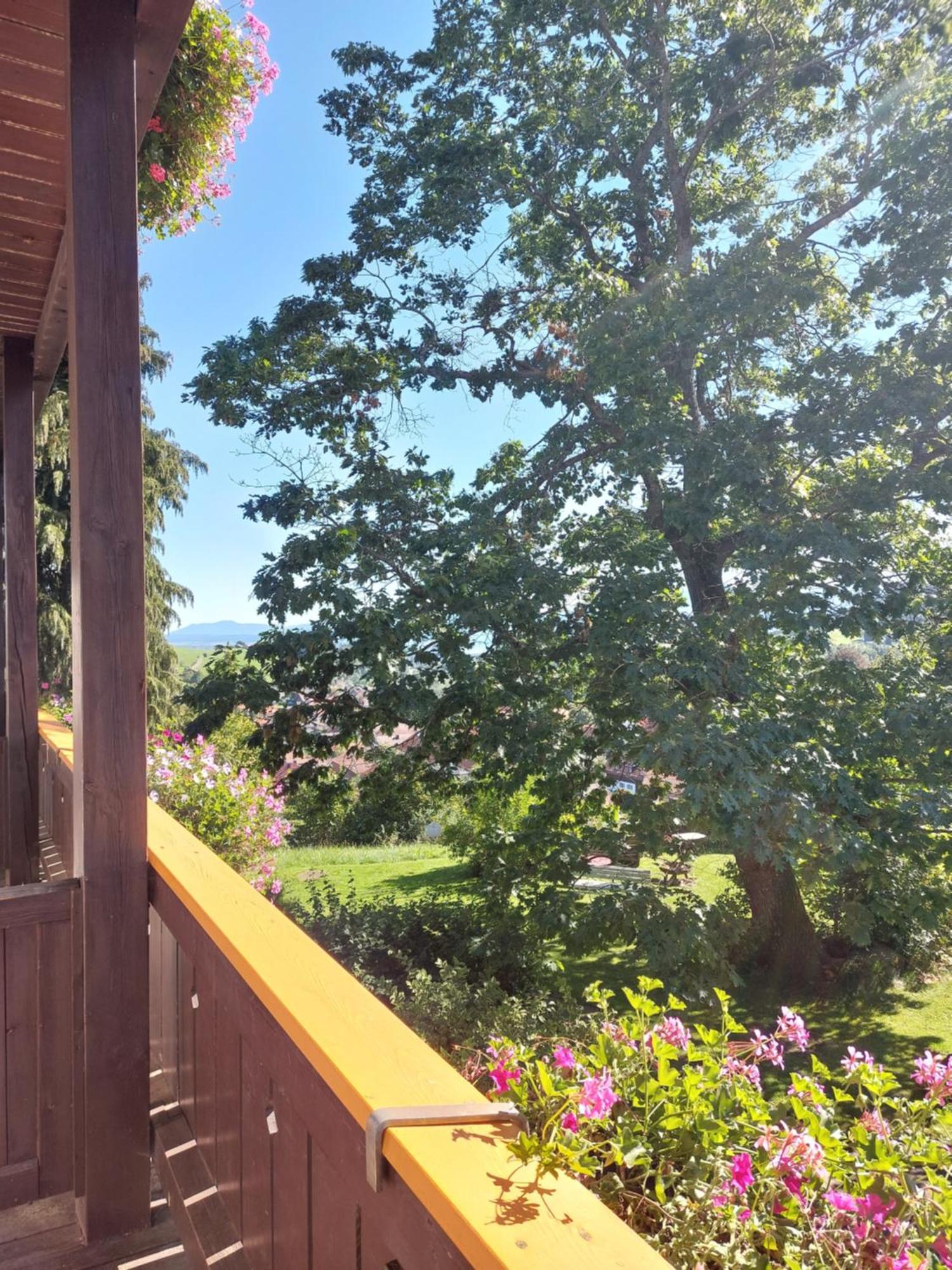 Landhaus Schoenblick Bad Kohlgrub Exteriör bild